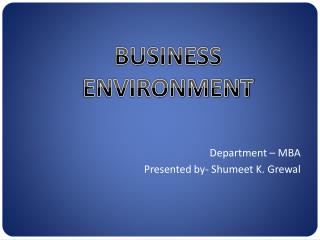 BUSINESS ENVIRONMENT