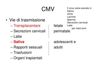 CMV