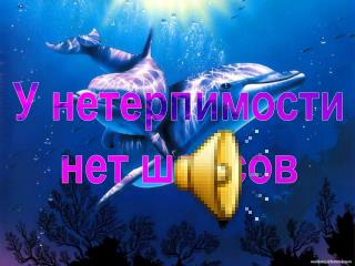 У нетерпимости нет шансов