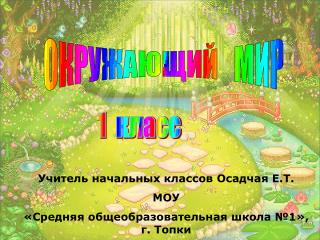 ОКРУЖАЮЩИЙ МИР