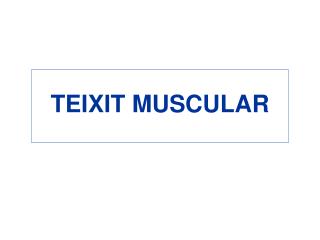 TEIXIT MUSCULAR