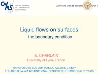 Liquid flows on surfaces: