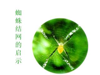 蜘 蛛 结 网 的 启 示