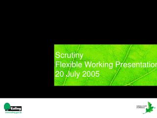Scrutiny Flexible Working Presentation	 20 July 2005