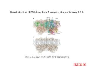 Y Umena et al . Nature 000 , 1 - 6 (2011) doi:10.1038/nature09913