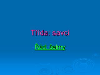 Třída: savci