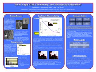 Small Angle X-Ray Scattering from Nanoporous Biocarbon