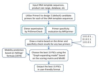 Input DNA template sequences, product size range, database, etc