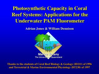 Photosynthetic Capacity in Coral Reef Systems: Applications for the Underwater PAM Fluorometer