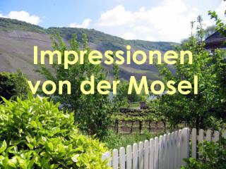 Impressionen von der Mosel