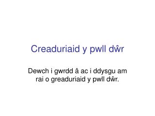 Creaduriaid y pwll d ŵ r