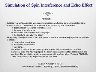 Simulation of Spin Interference and Echo Effect