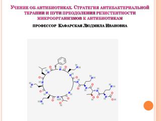 Современная химиотерапия бактериальных инфекций