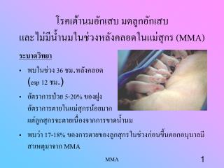 โรคเต้านมอักเสบ มดลูกอักเสบ และไม่มีน้ำนมในช่วงหลังคลอดในแม่สุกร (MMA)