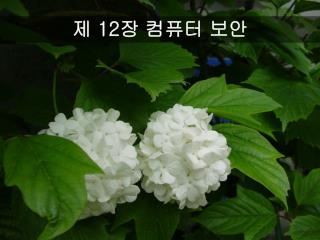 제 12 장 컴퓨터 보안