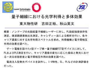 量子細線における光学利得と多体効果