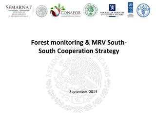 F orest monitoring &amp; MRV South-South Cooperation Strategy