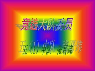 竞选大队委员