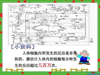 人体细胞内所发生的反应是非常快的，据估计人体内的细胞每分钟发生的反应超过 几百万 次 。