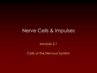 Nerve Cells &amp; Impulses