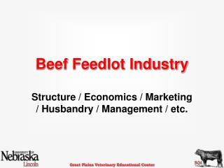 Beef Feedlot Industry