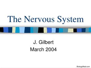 The Nervous System