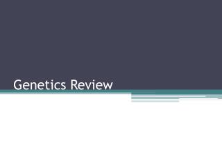 Genetics Review