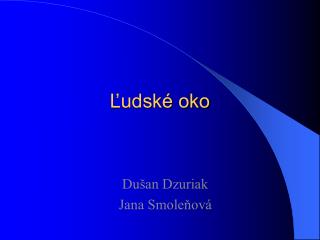 Ľudské oko