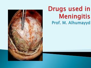 Drugs used in Meningitis Prof. M. Alhumayyd