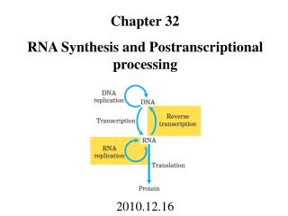 Chapter 32 RNA Synthesis and Postranscriptional processing 2010.12.16