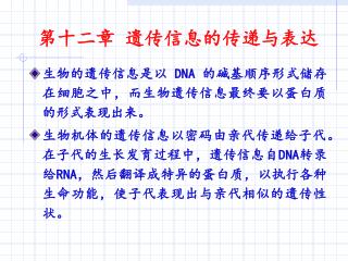 第十二章 遗传信息的传递与表达