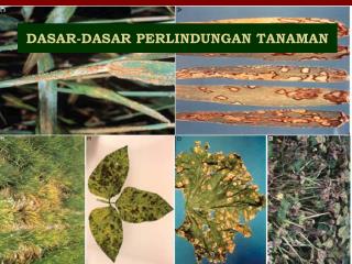 DASAR-DASAR PERLINDUNGAN TANAMAN