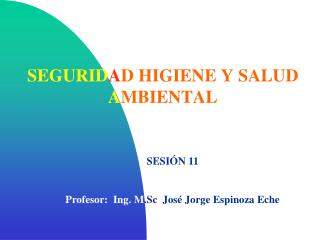 SEGURID A D HIGIENE Y SALUD A MBIENTAL