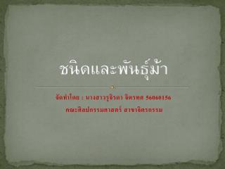 ชนิดและพันธุ์ม้า