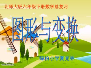 北师大版六年级下册数学总复习