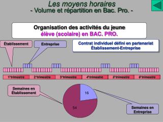 Contrat individuel défini en partenariat Établissement-Entreprise