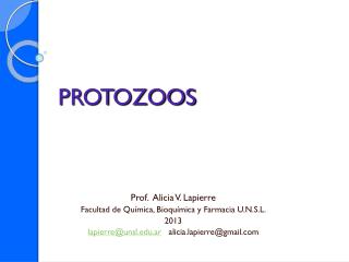 PROTOZOOS