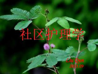 社区护理 学