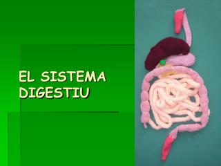 EL SISTEMA DIGESTIU