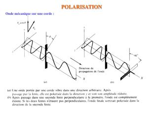 POLARISATION