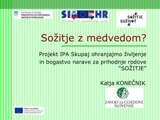 Sožitje z medvedom?