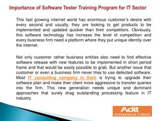 Importance of Software Tester Training Program for IT Sector