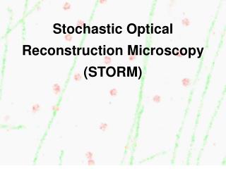 Stochastic Optical Reconstruction Microscopy (STORM)