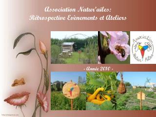 Association Natur’ailes : Rétrospective Evènements et Ateliers