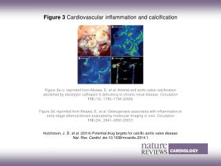 Hutcheson, J. D. et al. (2014) Potential drug targets for calcific aortic valve disease