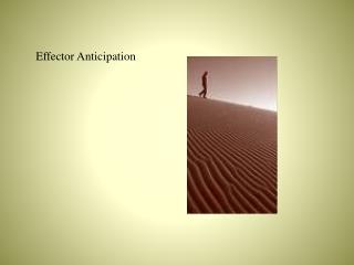 Effector Anticipation