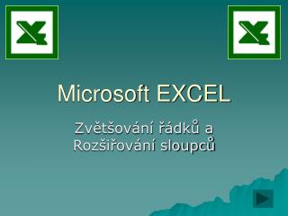 Microsoft EXCEL