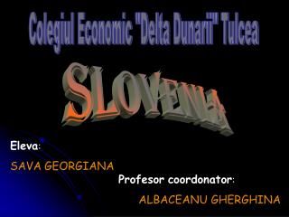 Colegiul Economic &quot;Delta Dunarii&quot; Tulcea