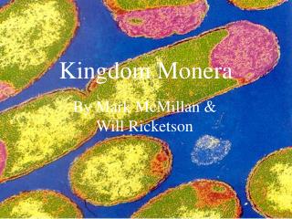 Kingdom Monera