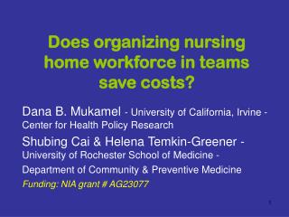 Does organizing nursing home workforce in teams save costs?